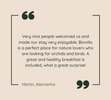 Martin, Alemanha